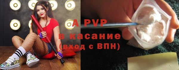 сатива Володарск