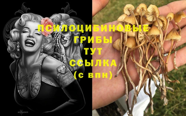 сатива Володарск