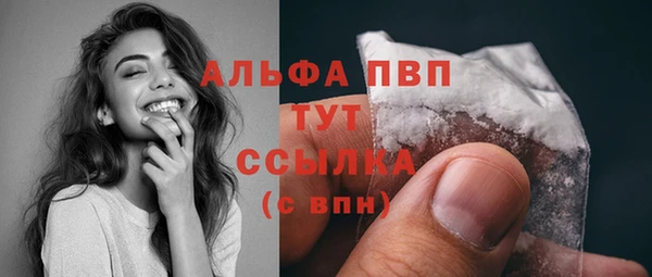 сатива Володарск