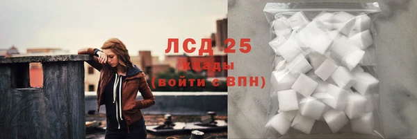 ПСИЛОЦИБИНОВЫЕ ГРИБЫ Волосово