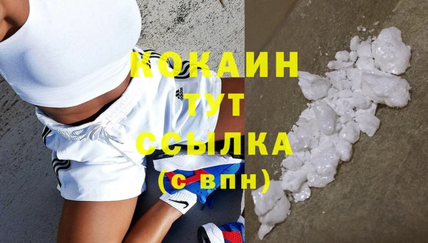 сатива Володарск