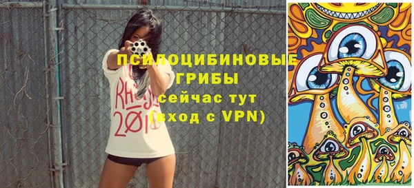 ПСИЛОЦИБИНОВЫЕ ГРИБЫ Волосово