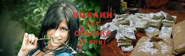 сатива Володарск