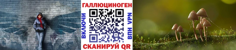 закладки  Полярные Зори  Псилоцибиновые грибы мухоморы 